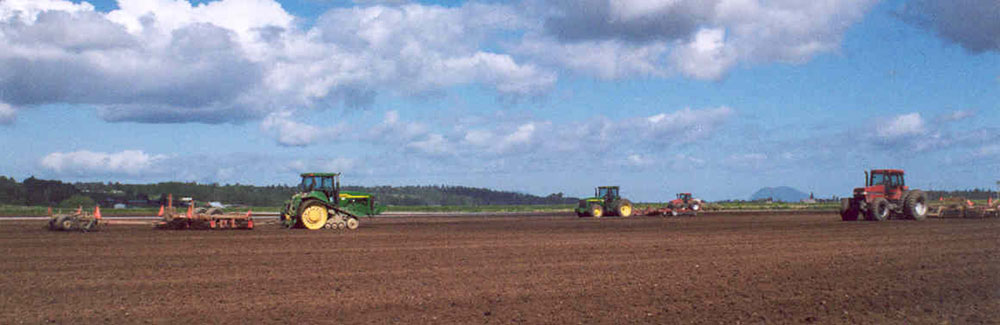 Knutzen Farms Potato Tractor