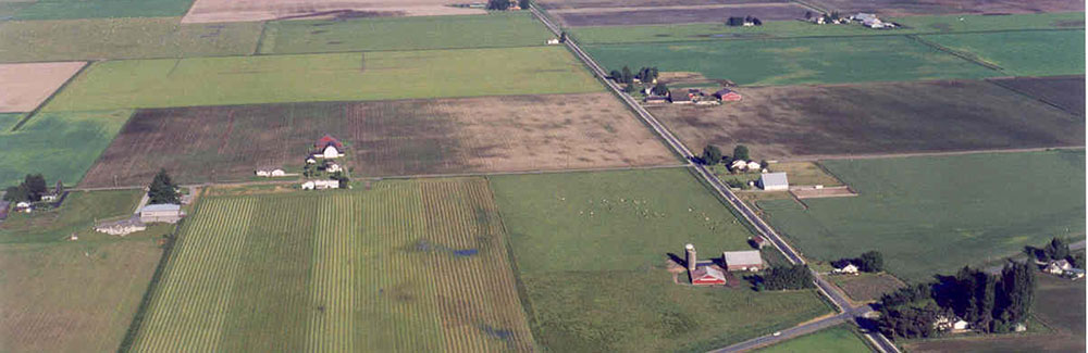 Skagit Valley Aerial View